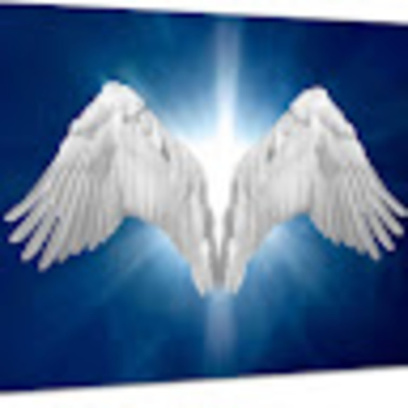 angelwings11pz
